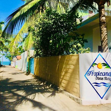 Tropicana Home Stay Аругам Экстерьер фото