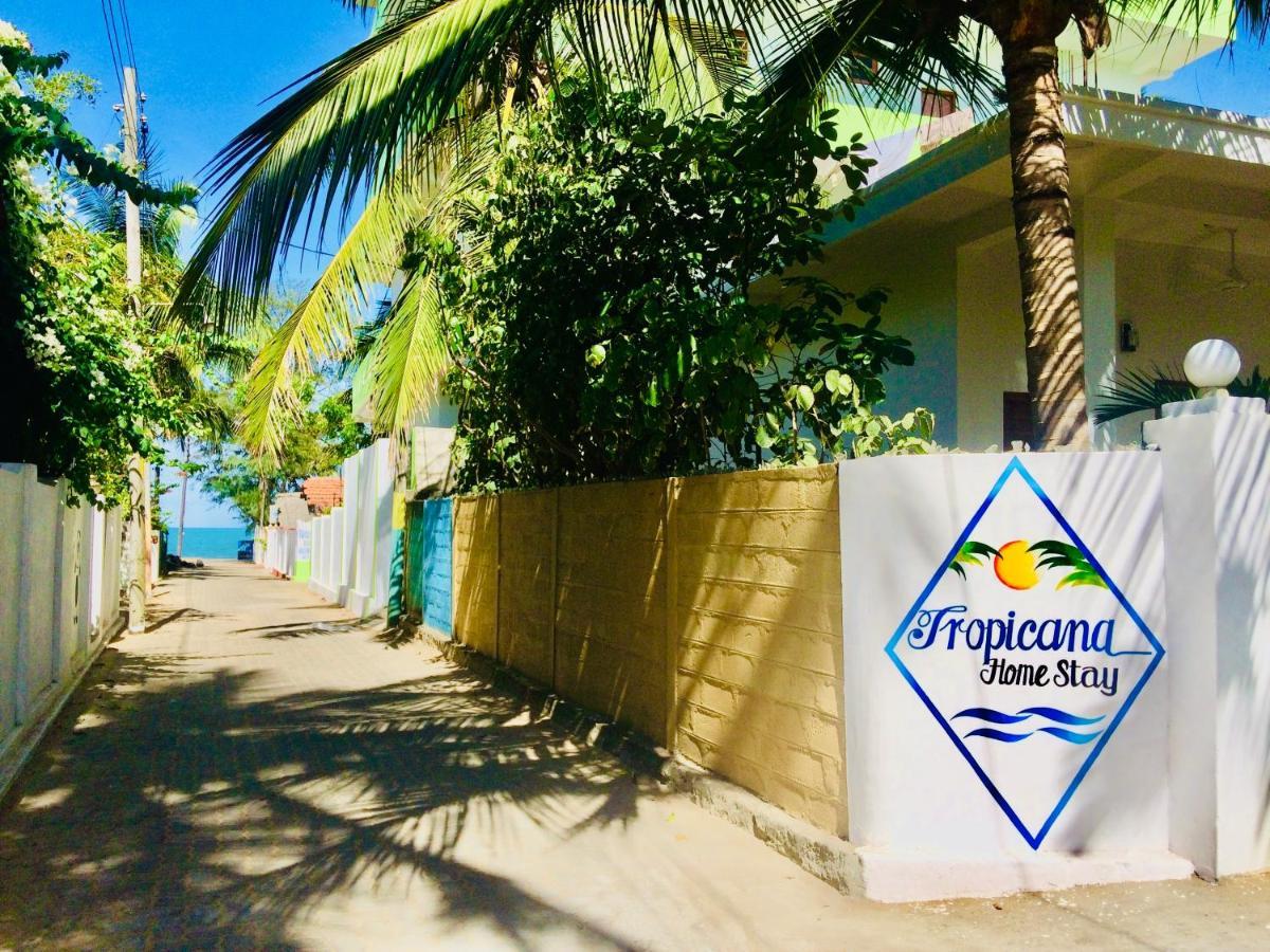 Tropicana Home Stay Аругам Экстерьер фото