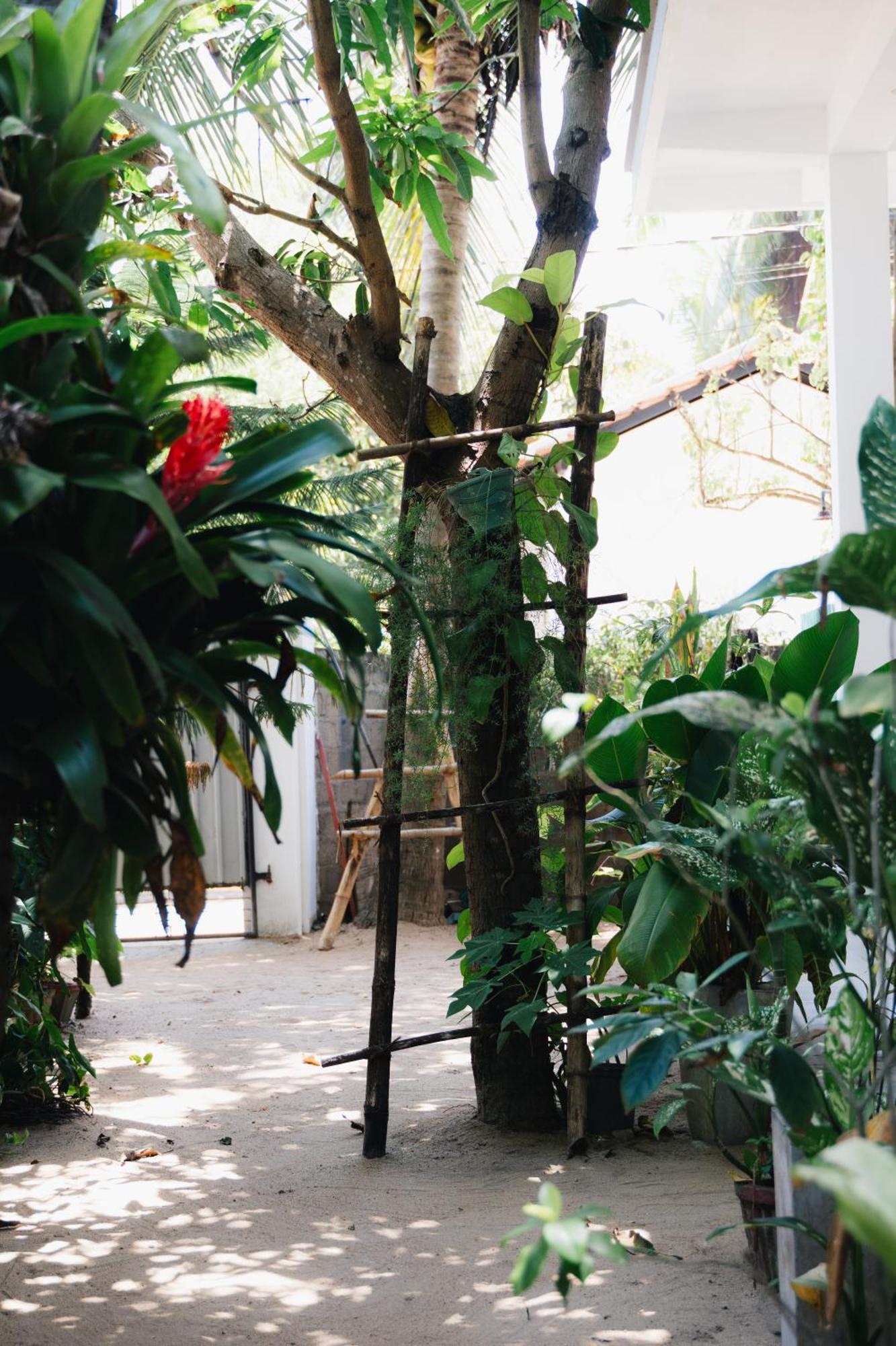 Tropicana Home Stay Аругам Экстерьер фото